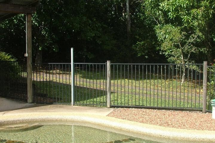 Atherton Blue Gum photo 4