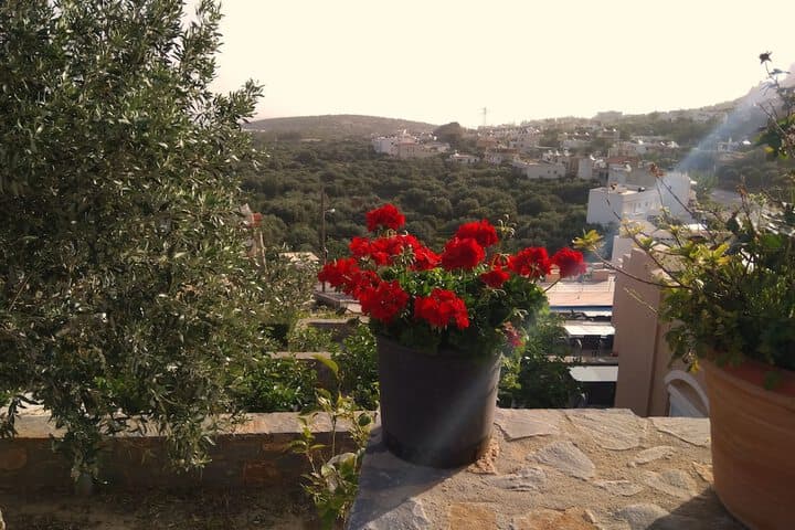 Kavousanos Apartments photo 4