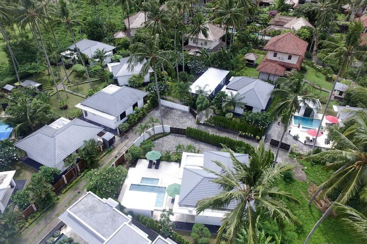 Dream Estate photo 2