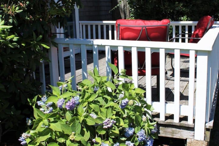 Edgartown Commons photo 4