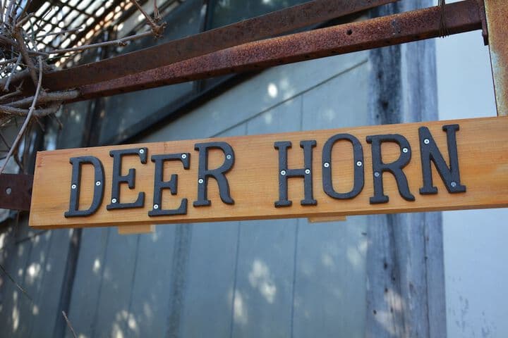 Deerhorn Hostel photo 4