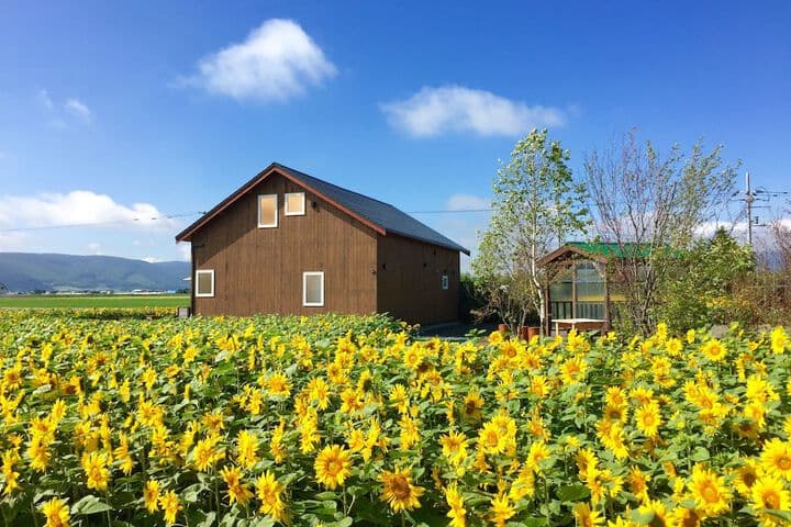 Country Cottage Wakiaiai photo 4