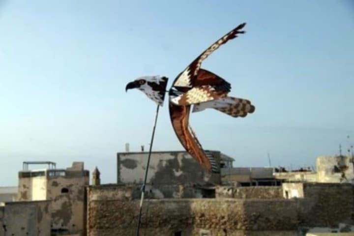 Dar Rahaothello photo 2