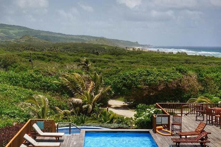 Santosha Barbados photo 3