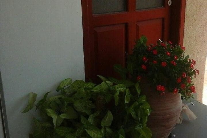 Kozis Hotel Apts photo 3