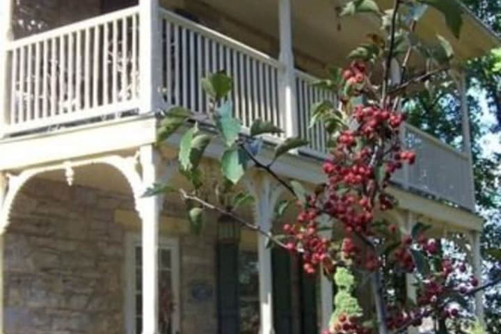 Fallen Tree Farm Bed & Breakfast photo 5