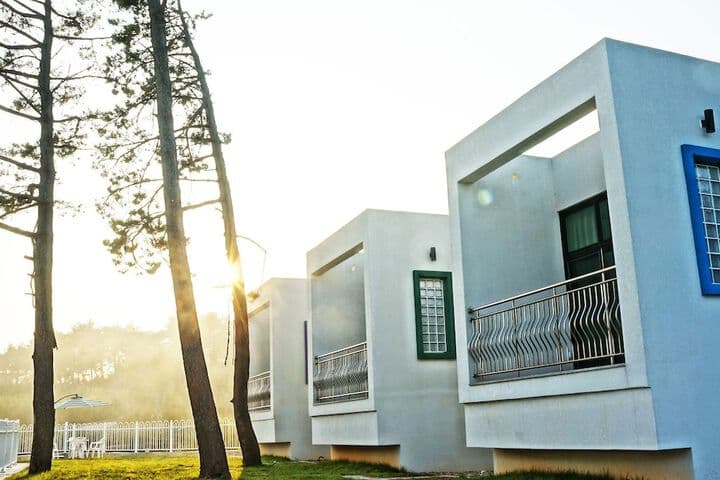 Sea & Pine Pension photo 5