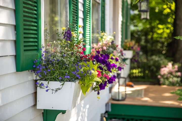 The Woodstocker B&B photo 4