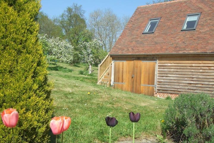 Rosebank Bed & Breakfast photo 2