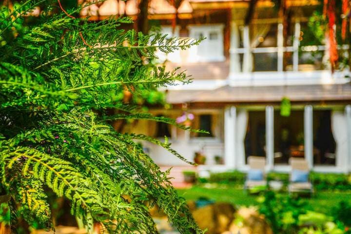 Banyan House Samui B&B photo 4