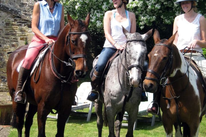Hollamoor Farm B&B photo 2