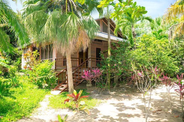 Casa Flores photo 5