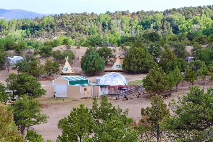 Mountain Goat Lodge photo 4