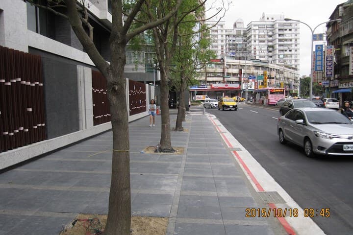 TaiwanMatisse photo 2