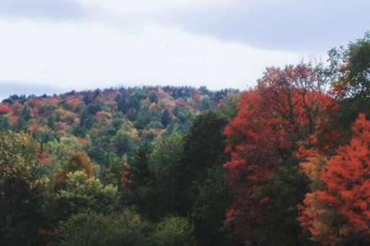 Sturbridge Country Inn photo 2
