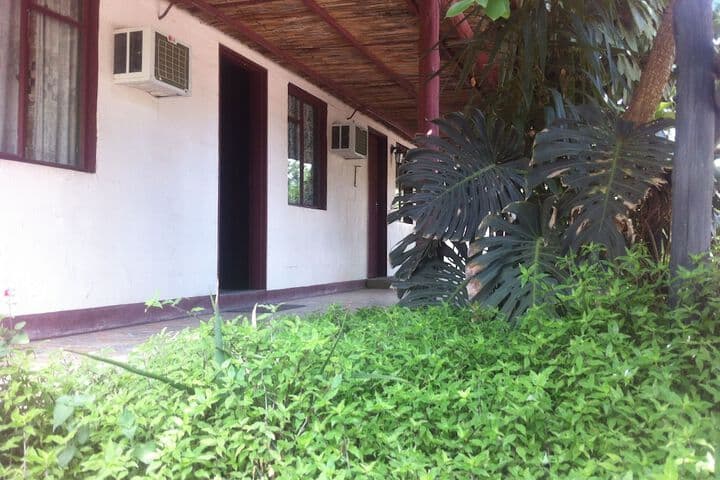 Alfa Accommodation photo 5