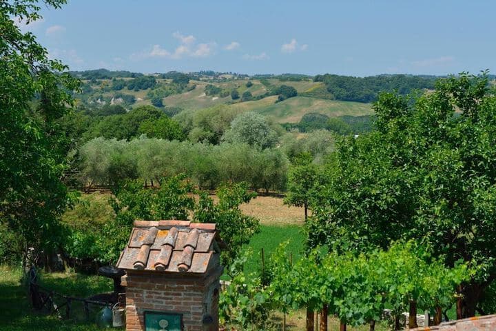 La Murata photo 3
