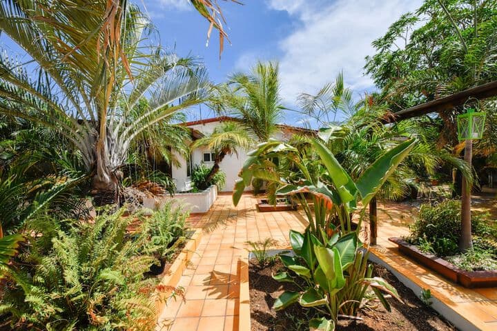 Brisas Studio Apartments Adults Only photo 2