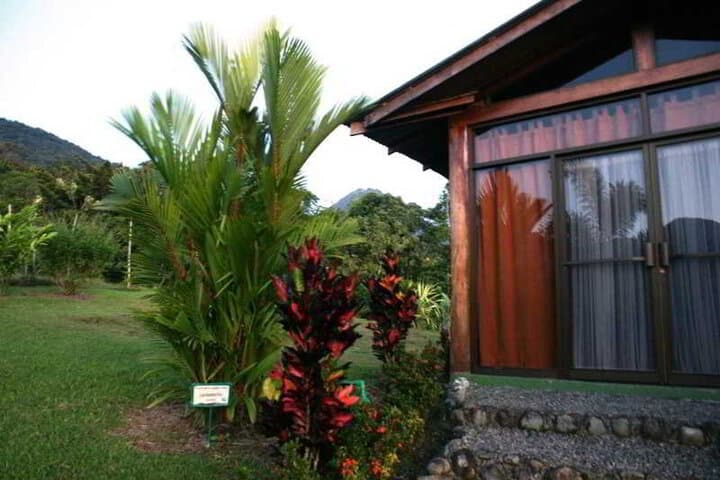 GreenLagoon Wellbeing Resort photo 5