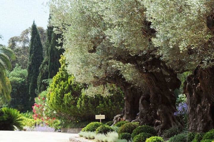 Domaine Les Mésanges photo 2