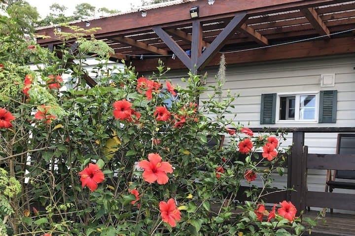 PANORAMA Ocean View Cottage photo 3