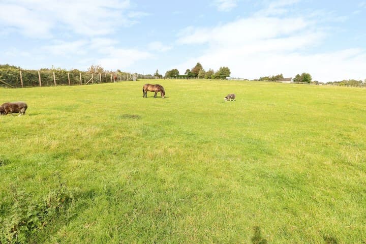 Potters Barn photo 1