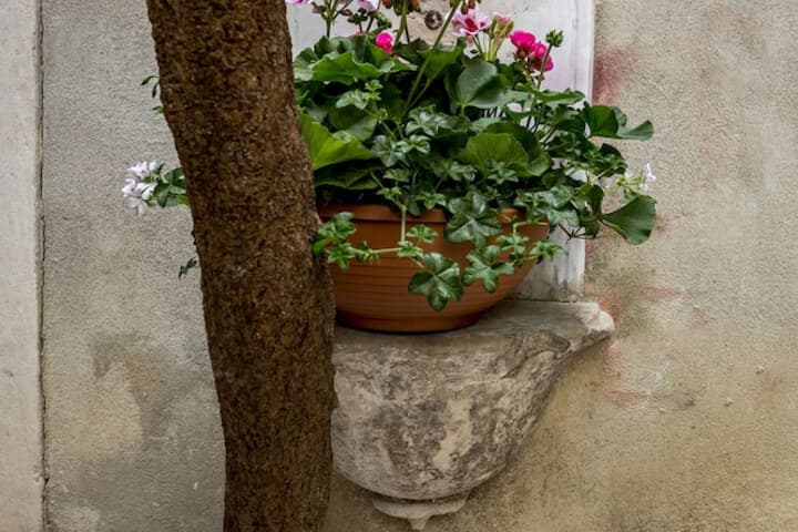 Centro di Centri Rooms photo 4