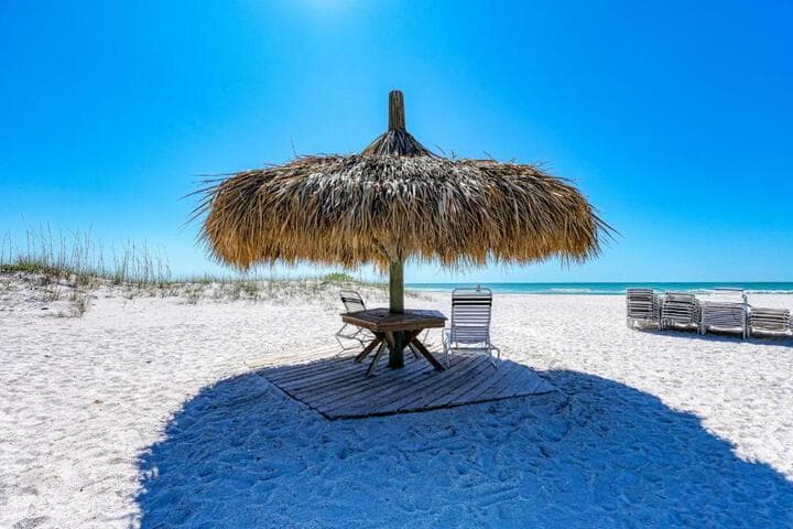 Anna Maria Island Beach Palms 5B photo 4