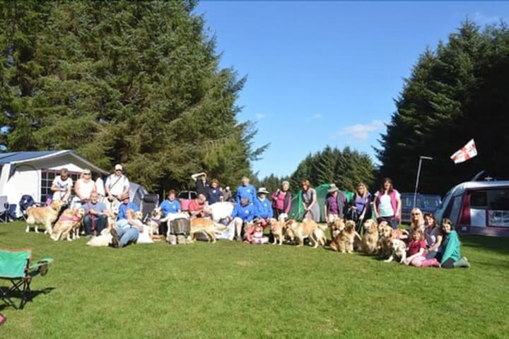 Colliford Lake Hotel & Holiday Site photo 3