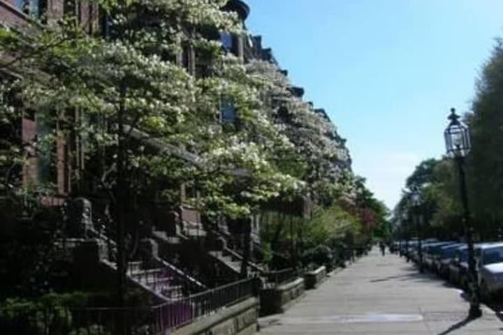 The College Club of Boston photo 2