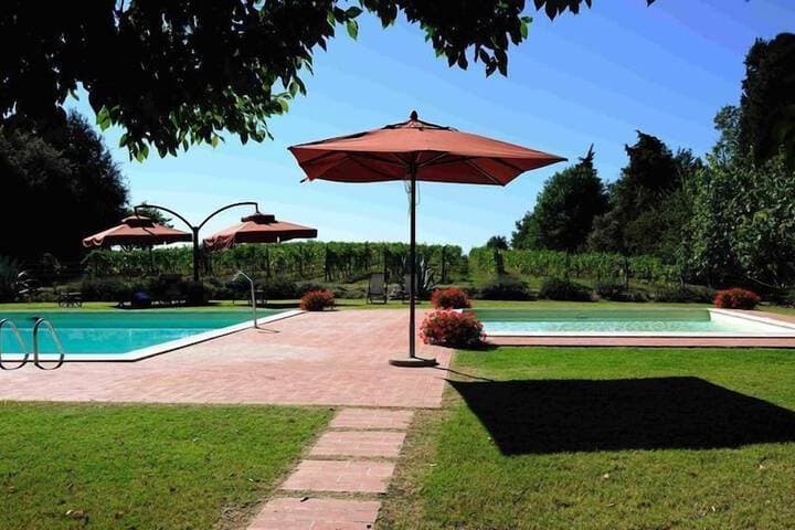 Villa Lorenza photo 4