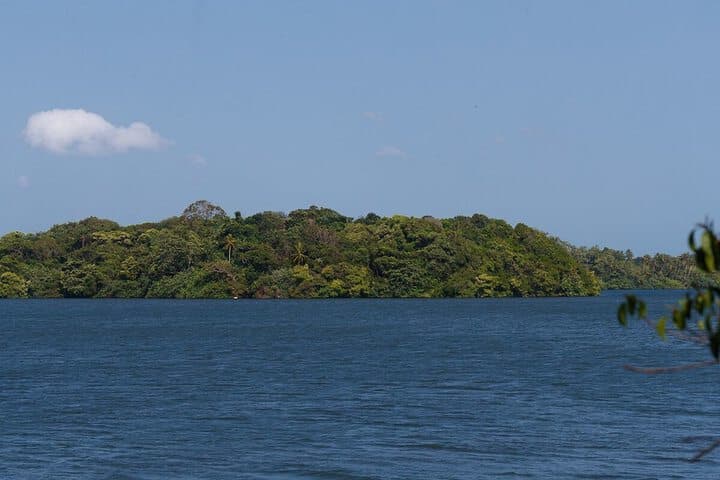 MO River House photo 4
