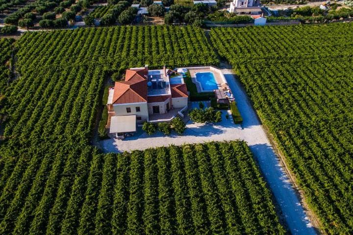 Cretan Vineyard Hill Villa photo 5