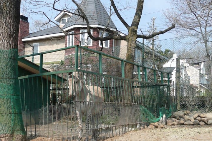 Scotch Court photo 2