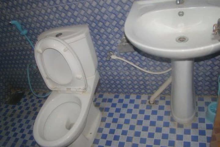 ALP Guest photo 5