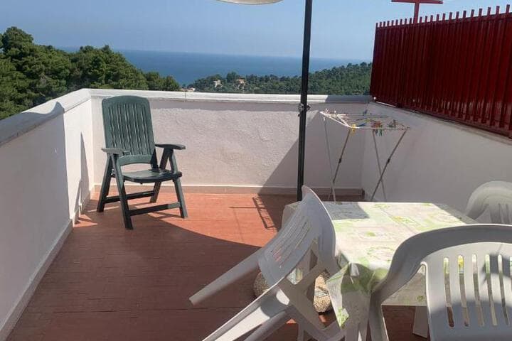 Villa Pineta photo 3