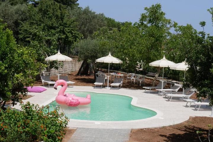 B & B Korello photo 5