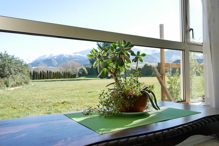 Vibrant Living Retreat photo 4