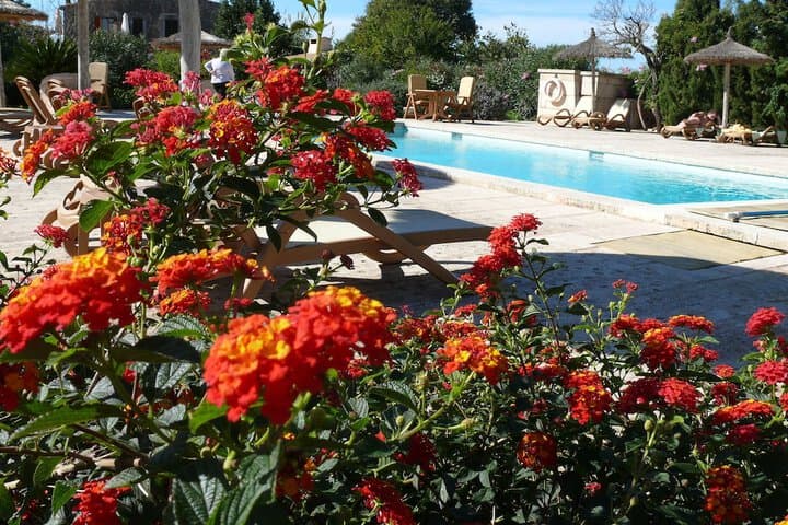 Hotel Sa Carrotja Adults Only photo 3