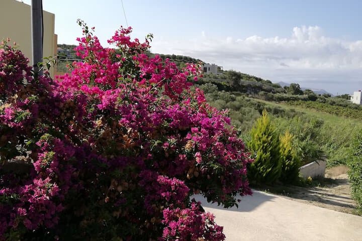 Cyan Icons Villas photo 2