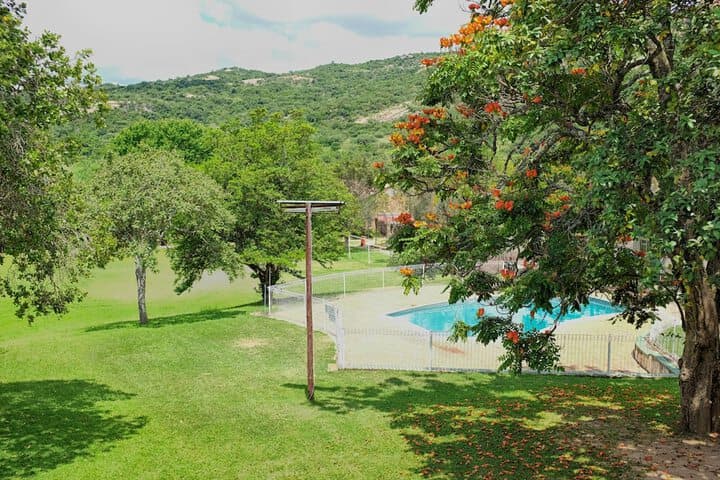 Near2Numbi photo 4