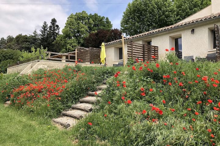 Les Ânes de Forcalquier photo 2