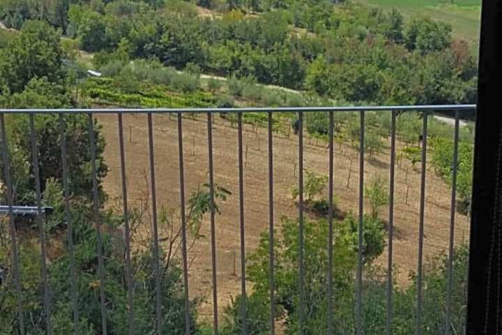 La Ripa photo 5