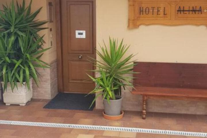 Hotel Alina photo 3