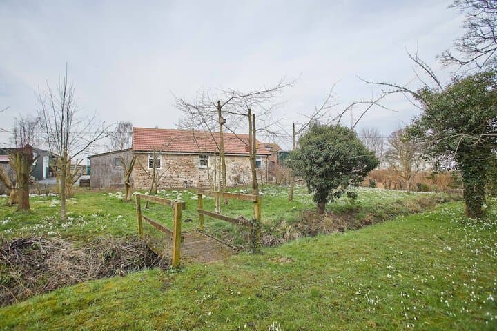 Snowdrop Cottage photo 5