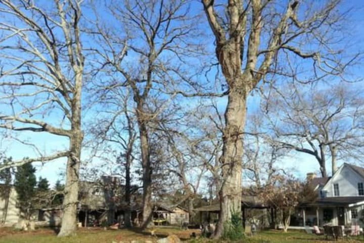 Seventy four Ranch photo 4