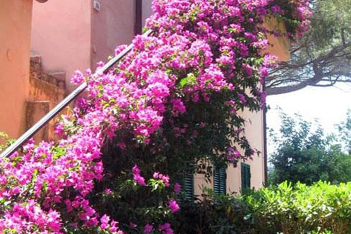 Villa San Giuseppe photo 5