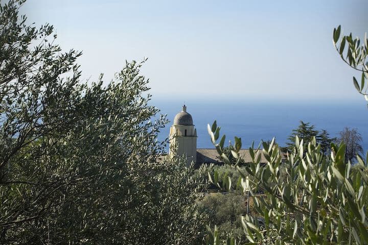 The Garden photo 5