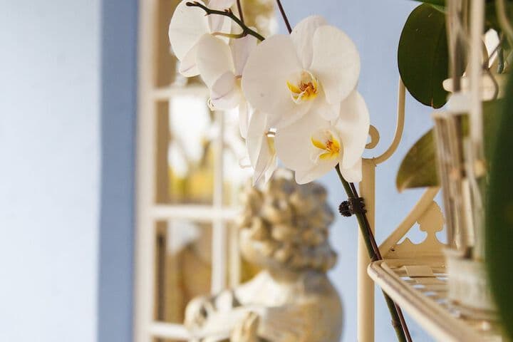 The Angels Place Boutique Hotel photo 3