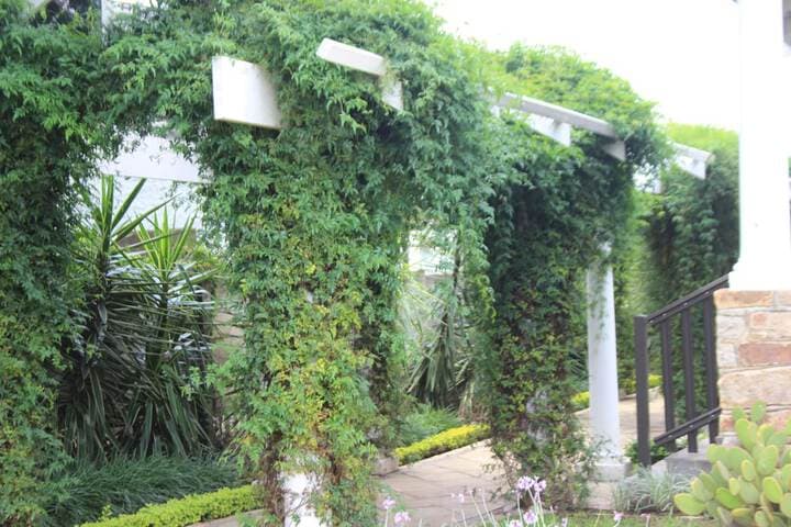 Villa Beryl Guesthouse photo 4